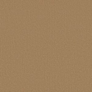 CANVAS COMFORT BLUE by Shaw Floors - Pasta Recipe