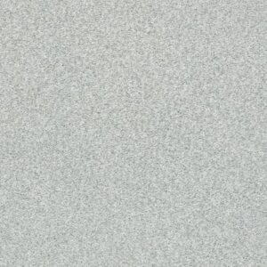 TONAL COMFORT II by Shaw Floors - Quiet Time