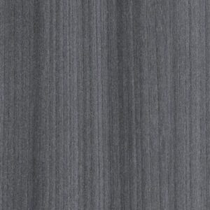 Color Range 20 by Shaw Floors - Onyx