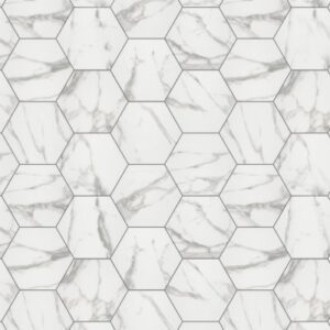 Point & Verge by Shaw Floors - Statuary