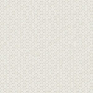 Daltile - Eclessia Marble Pacifica, Hexagon, 2, Honed