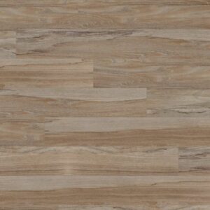 Adura®Apex by Mannington - Spalted Wych Elm, Wild Flower