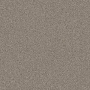 DEL RIO I by Shaw Floors - Driftwood