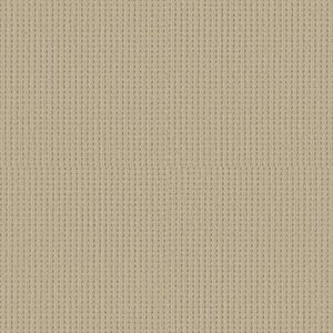 SAN ANTONIO by Shaw Floors - Beach Haven