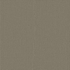 SAN ANTONIO by Shaw Floors - Pewter