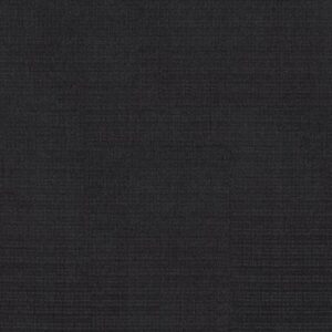 SIERRA VISTA by Shaw Floors - Blackout