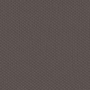 MIDLAND CHARM by Shaw Floors - Midtown