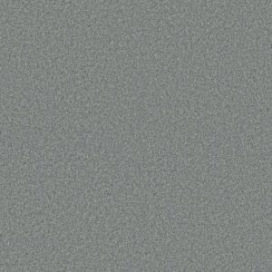 COMFORTING II by Shaw Floors - Wet Rock