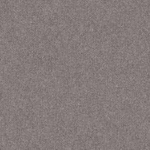INLET SHORE 1 15' by Shaw Floors - Overcast