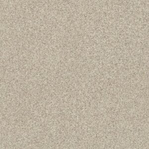 COMFORTING I by Shaw Floors - Shadow