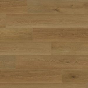 PREFERENCE by Dreamweaver - Pottery Wheel 8001