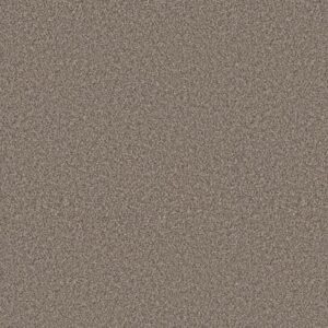 ELEVATED III by Shaw Floors - Prairie