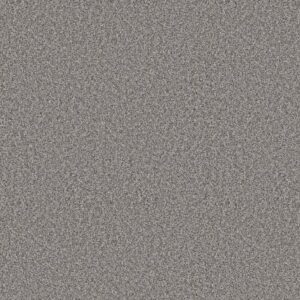 ELEVATED I by Shaw Floors - London Fog