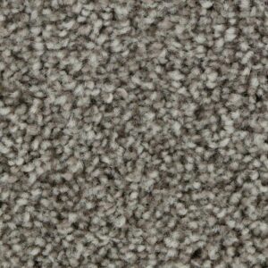 Polished Shades II by Mohawk - Shadow Taupe
