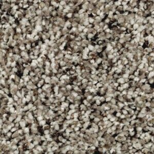 Softly Elegant I by Mohawk - Beige Twill