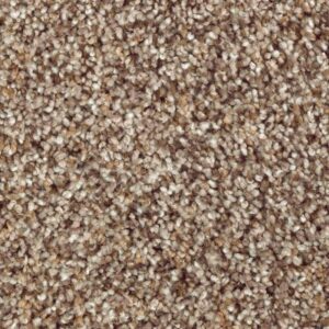 Nature's Luxury I by Mohawk - Grey Hearth