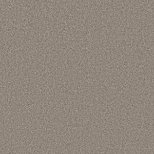 AFFIRMATION II NET by Shaw Floors - Bistro