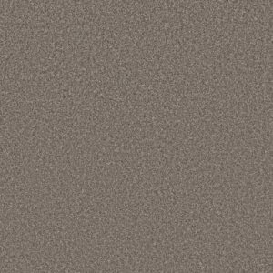 AFFIRMATION II NET by Shaw Floors - Creek Bend