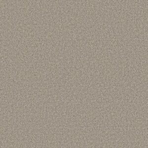 HIGH RANKING B by Shaw Floors - Wind'S Breath