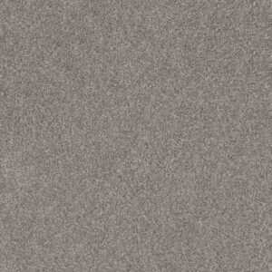 SOFT EFFERVESCENCE by Shaw Floors - London Fog