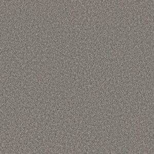 SOFT RADIANCE by Shaw Floors - London Fog