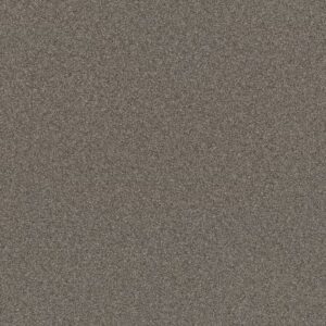 AFFIRMATION I by Shaw Floors - Orion Gray