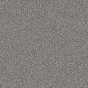 AFFIRMATION II by Shaw Floors - Rush Hour
