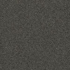GOLD STANDARD III by Dreamweaver - Onyx 2875