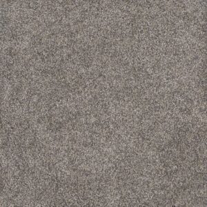 RUSTIC RETREAT II by Dreamweaver - Dried Sage 4112