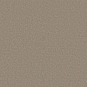 HIGH IMPACT B by Shaw Floors - Dockside