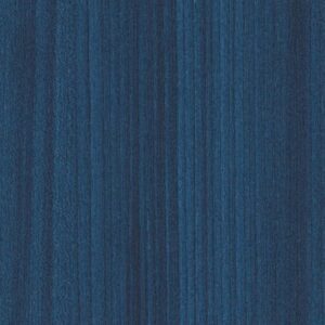 Color Range 20 by Shaw Floors - Indigo
