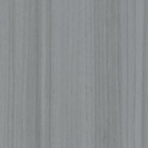 Color Range 5 by Shaw Floors - Silver