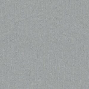 ENDLESS MEMORIES by Shaw Floors - Polished Silver