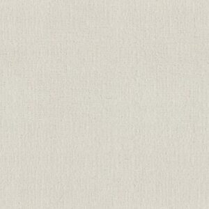 ENDLESS MEMORIES by Shaw Floors - Clean Linen