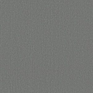 CANVAS COMFORT BLUE by Shaw Floors - Dolphin Sighting