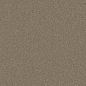WAY TO GO III by Shaw Floors - Chic Taupe