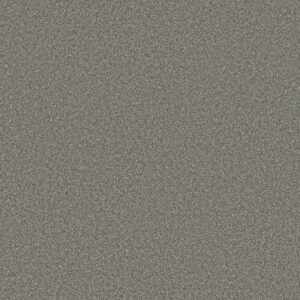 TWEED COMFORT II by Shaw Floors - First Class