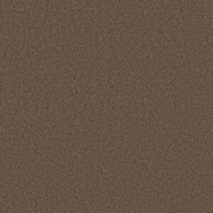 TONAL COMFORT I by Shaw Floors - Cliff Hiking