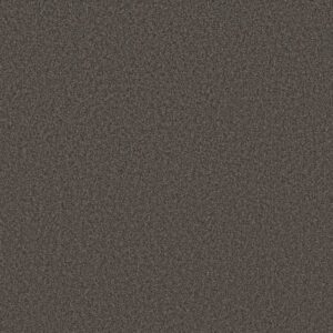TONAL COMFORT I by Shaw Floors - Weekend Getaway