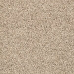 TONAL COMFORT BLUE by Shaw Floors - Walk On The Beach