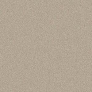 WAY TO GO I by Shaw Floors - Adobe Sand