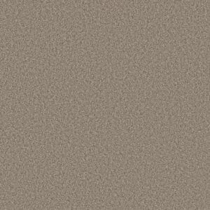 TWEED COMFORT I by Shaw Floors - Outer Banks