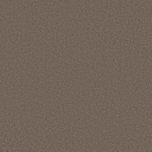 TWEED COMFORT I by Shaw Floors - Gathering