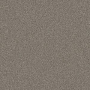 TWEED COMFORT BLUE by Shaw Floors - Marsh Grass