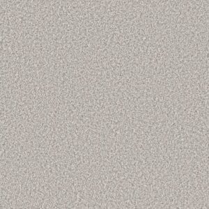 REMIXED CLASSIC by Shaw Floors - Silver Lining