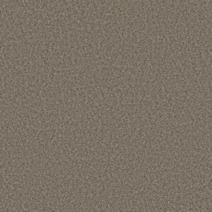 ALWAYS RIGHT II by Shaw Floors - Woodcraft
