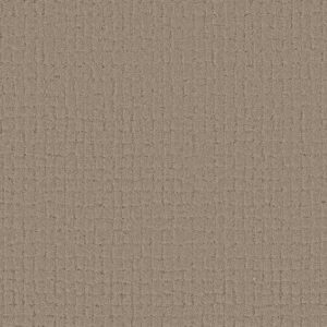 BLOCK PARTY by Shaw Floors - Cameo