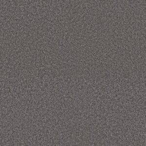 RENEWED ENERGY II by Shaw Floors - River Rock