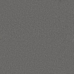 TRUSOLUTIONS I by Shaw Floors - Mercury