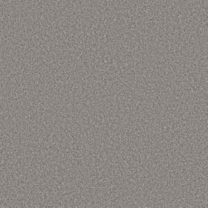 TRUSOLUTIONS II by Shaw Floors - Storm Cloud